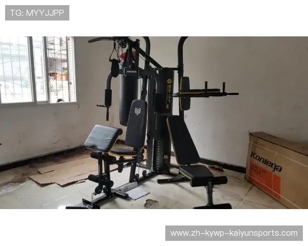 飞鸟健身器材买卖平台一览 飞鸟健身器材买卖平台一览